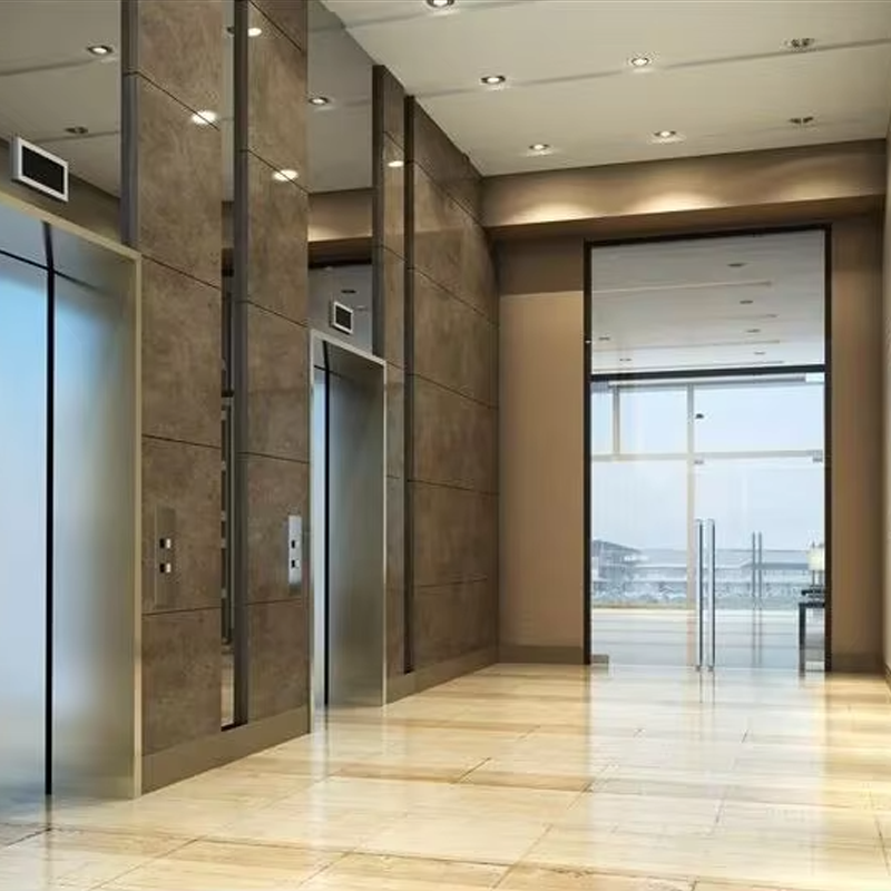VTEP105 Ascensores Ascensori per passeggeri residenziali di lusso Gearless AC Silenzioso, efficiente ed elegante in PVC