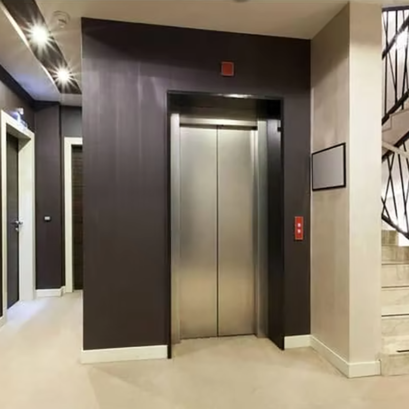 VTEP105 Ascensores Ascensori per passeggeri residenziali di lusso Gearless AC Silenzioso, efficiente ed elegante in PVC