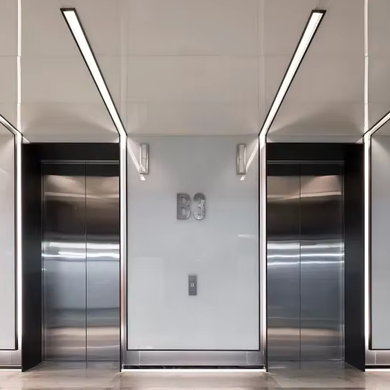 VTEP105 Ascensores Ascensori per passeggeri residenziali di lusso Gearless AC Silenzioso, efficiente ed elegante in PVC