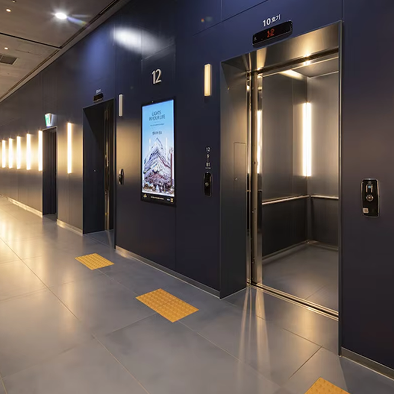 VTEP105 Ascensores Ascensori per passeggeri residenziali di lusso Gearless AC Silenzioso, efficiente ed elegante in PVC