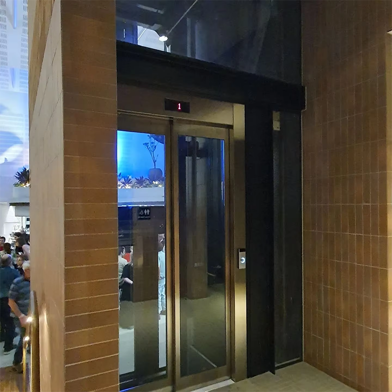 VTEP108 Ascensori Ascensori per passeggeri veloci e fluidi per proprietà commerciali Servizio rapido