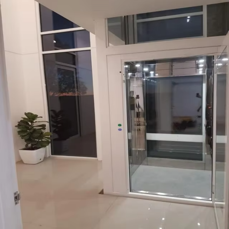 VTEV109 Ascensores Elevadores Elegante ascensore per ville in vetro per casa duplex privata