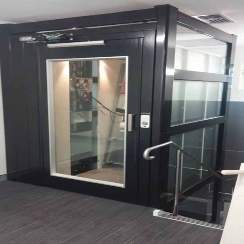 VTEV109 Ascensores Elevadores Elegante ascensore per ville in vetro per casa duplex privata