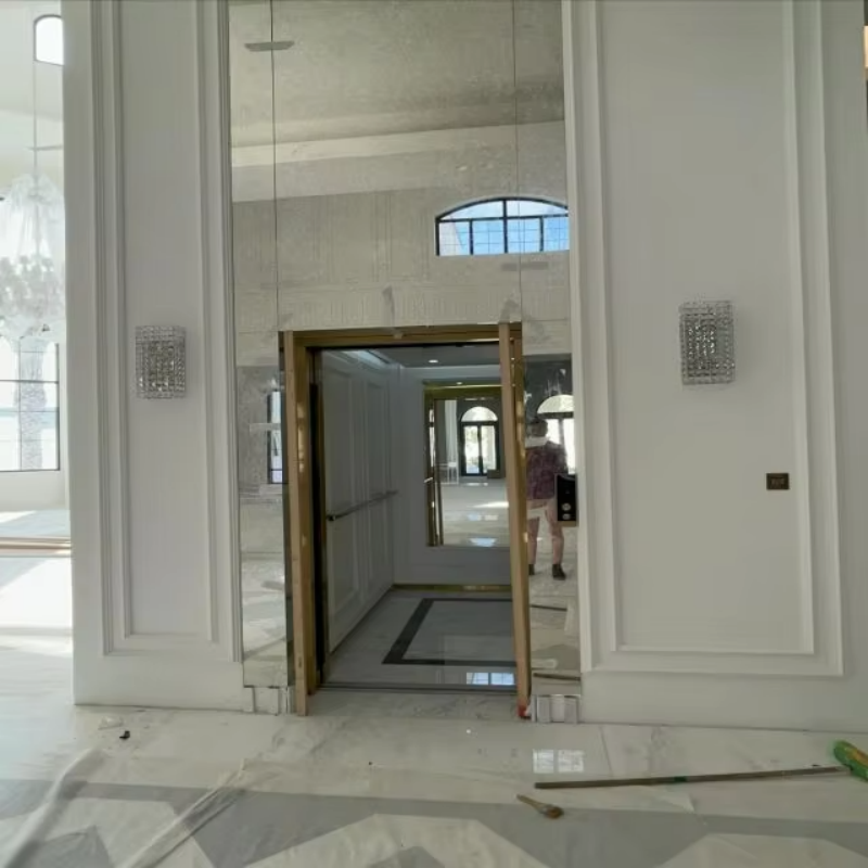 VTEV109 Ascensores Elevadores Elegante ascensore per ville in vetro per casa duplex privata