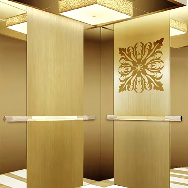 VTEO101 Ascensores Elegante ascensore di osservazione per appartamenti di lusso ed edifici adibiti ad uffici