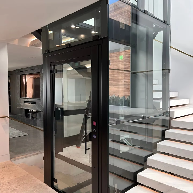 VTEO101 Ascensores Elegante ascensore di osservazione per appartamenti di lusso ed edifici adibiti ad uffici