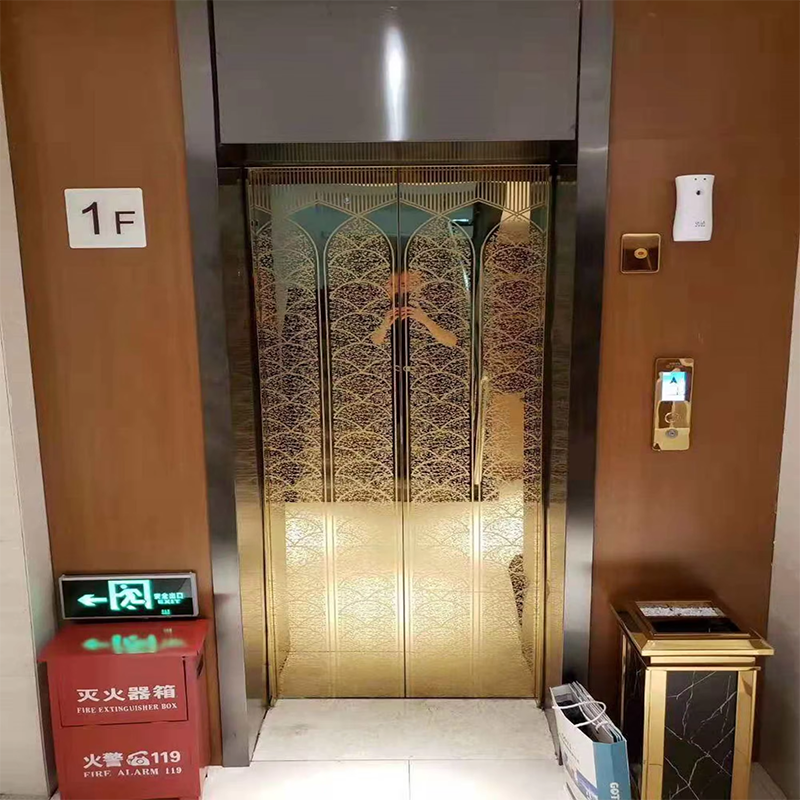 VTEO102 Ascensore Ascensore di Osservazione di Alta Qualità per Edifici Scenici e Turistici