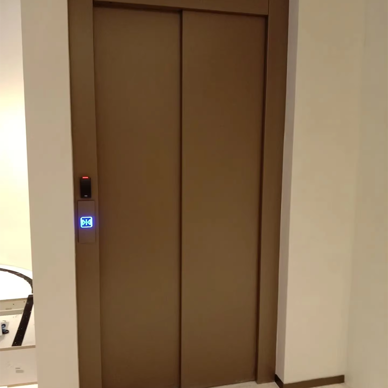 VTEP111Ascensori Ascensori per passeggeri personalizzabili con caratteristiche di sicurezza avanzate