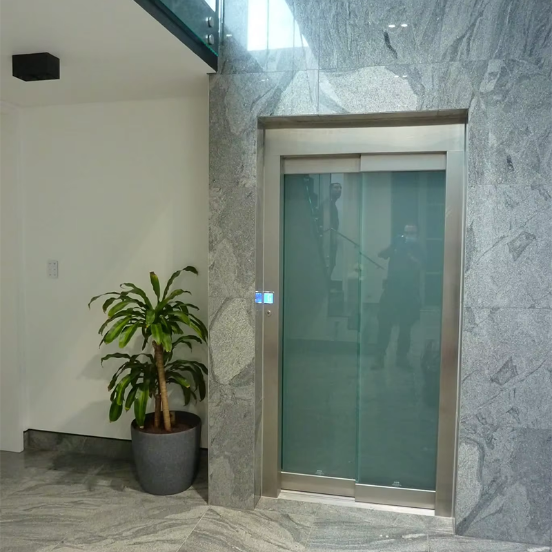 VTEP111Ascensori Ascensori per passeggeri personalizzabili con caratteristiche di sicurezza avanzate