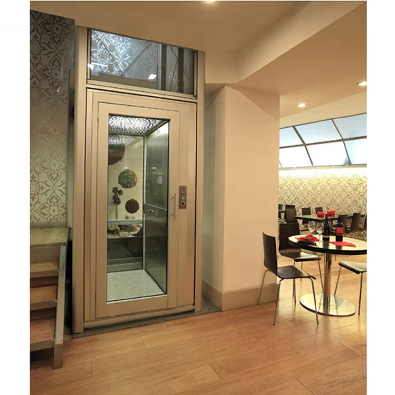 VTEV101 Ascensores Elevadores Bellissimo ascensore per ville dal design moderno