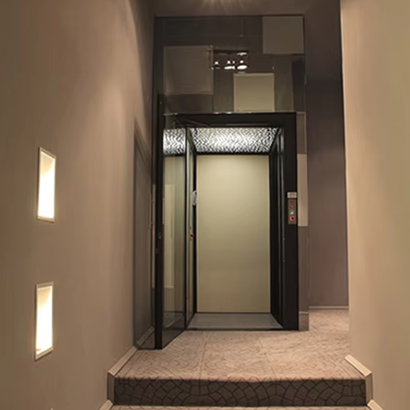 VTEV104 Ascensores Elevadores Ascensore per ville di lusso in acciaio inossidabile per uso familiare
