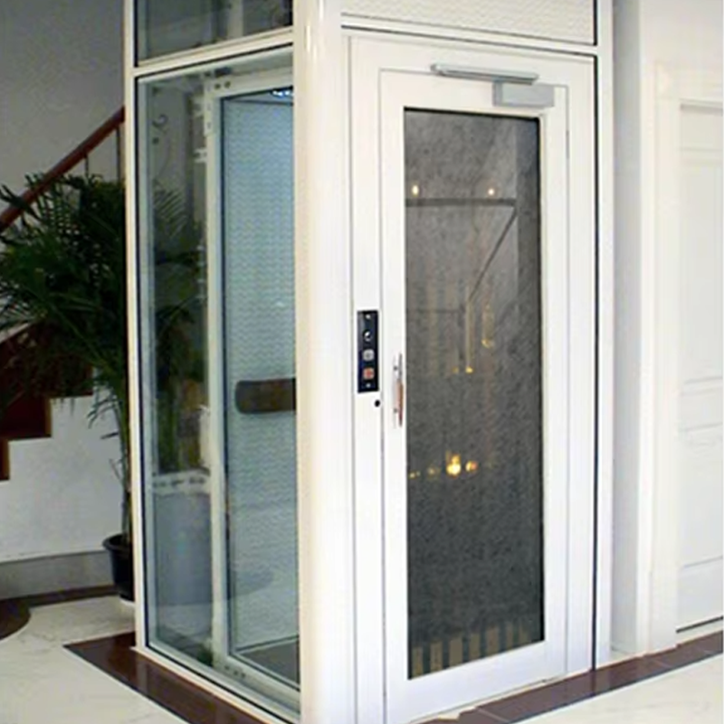 VTEV105 Ascensores Elevadores Ascensore per ville con cabina personalizzato per la decorazione d'interni