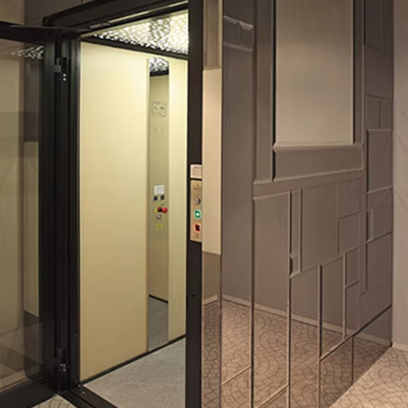VTEV105 Ascensores Elevadores Ascensore per ville con cabina personalizzato per la decorazione d'interni