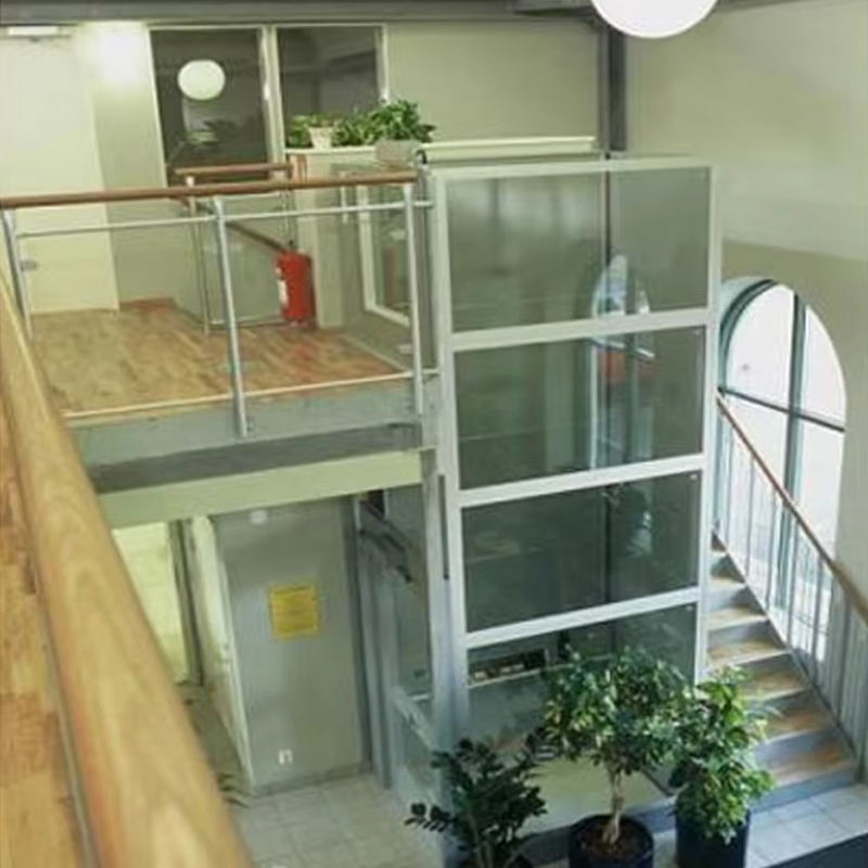 VTEV105 Ascensores Elevadores Ascensore per ville con cabina personalizzato per la decorazione d'interni