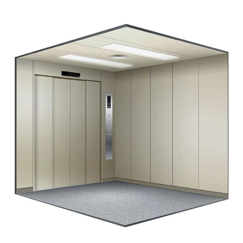 VTEF101 Ascensore montacarichi industriale con elevata capacità di carico