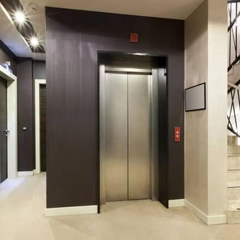 VTEP123 Ascensore per passeggeri residenziale con azionamento CA senza ingranaggi di lusso personalizzato con design panoramico