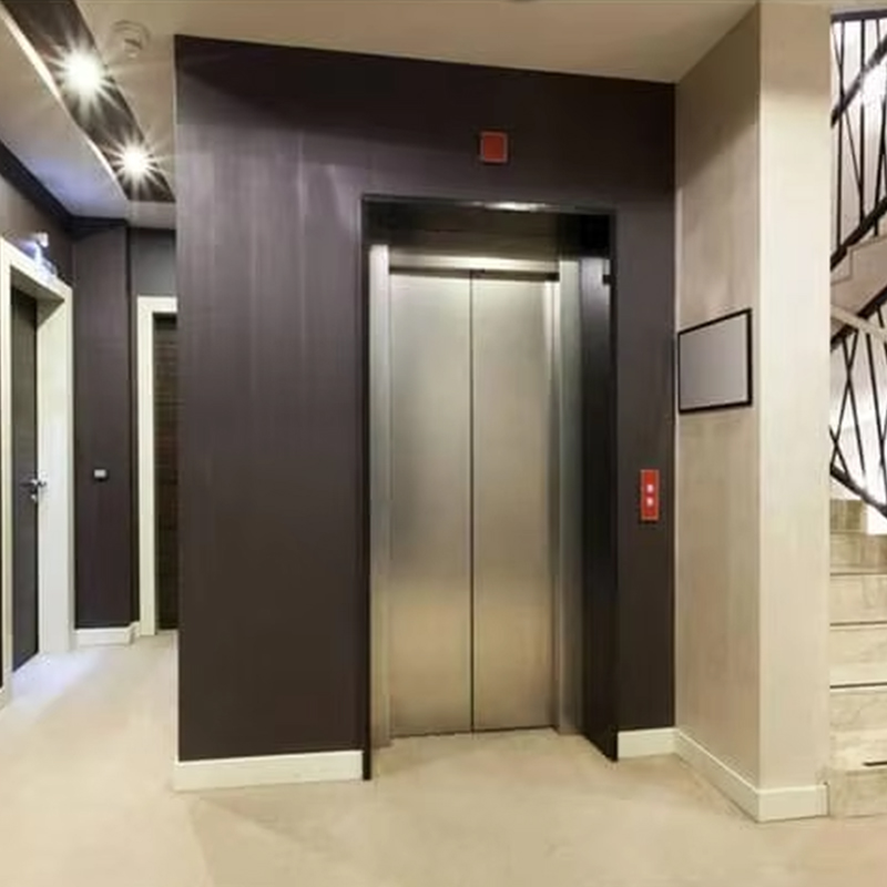 VTEP124 Produttore cinese di ascensori per passeggeri moderni di marca cinese Ascensori ad alte prestazioni per hotel Utilizzare pavimenti in PVC Azionamento CA in acciaio inossidabile