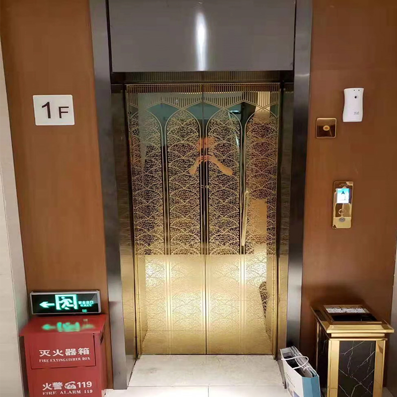 VTEP124 Produttore cinese di ascensori per passeggeri moderni di marca cinese Ascensori ad alte prestazioni per hotel Utilizzare pavimenti in PVC Azionamento CA in acciaio inossidabile