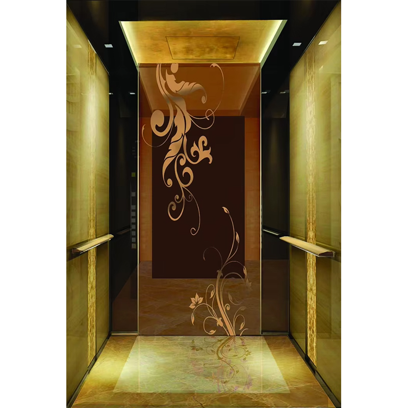 Cabina dell'ascensore dell'hotel di lusso VTSP133 con colore personalizzato dal design contemporaneo premium in acciaio inossidabile 1 anno di garanzia