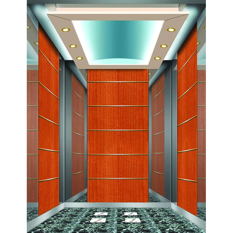 Cabina dell'ascensore dell'hotel di lusso VTSP133 con colore personalizzato dal design contemporaneo premium in acciaio inossidabile 1 anno di garanzia