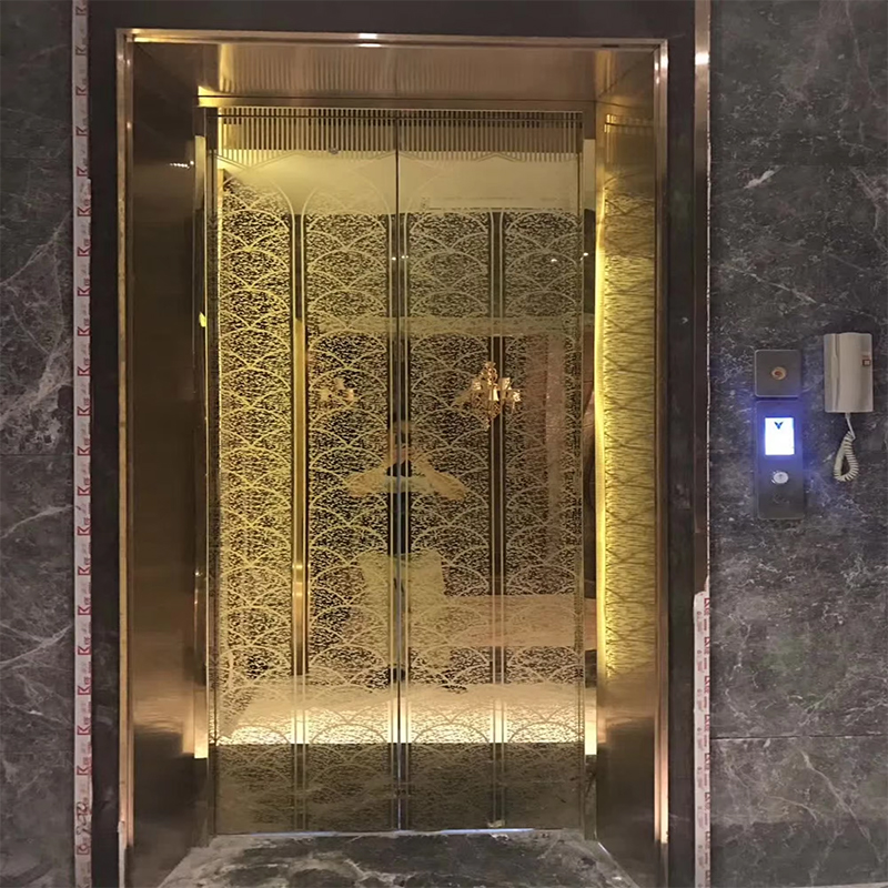 VTSP136 Parti e accessori per ascensori Cabina per ascensore per passeggeri con illuminazione a LED e decorazioni premium
