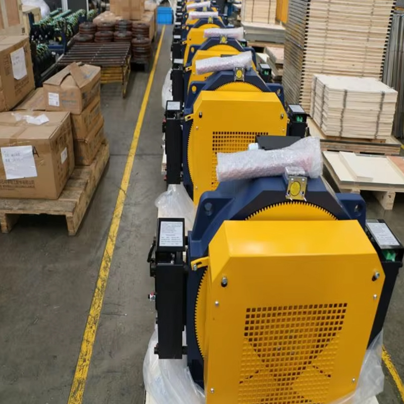 Motore di sollevamento senza ingranaggi della macchina per trazione senza ingranaggi VTSP252 Montanari MCG200 Motore 800-1350KGS
