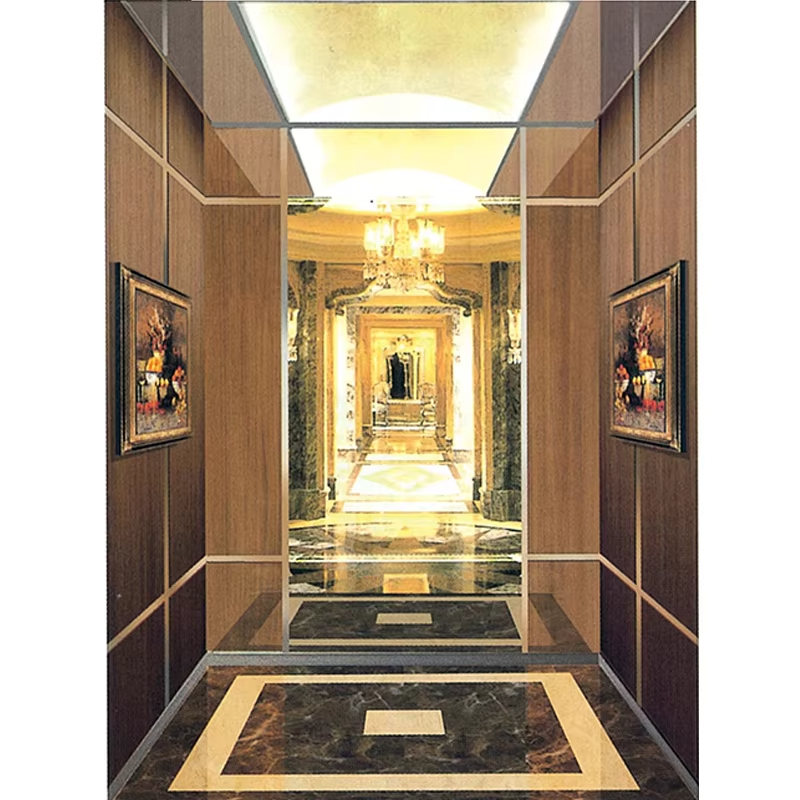 Parti e accessori per ascensori VTSP126 Cabina per ascensore per passeggeri con decorazione interna moderna