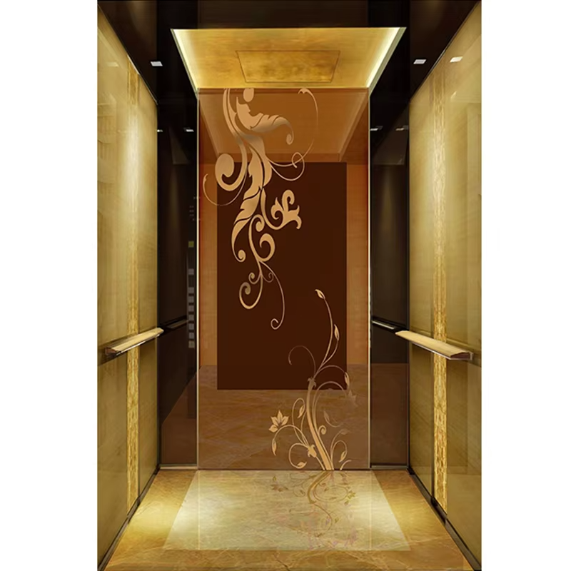 Parti e accessori per ascensori VTSP126 Cabina per ascensore per passeggeri con decorazione interna moderna
