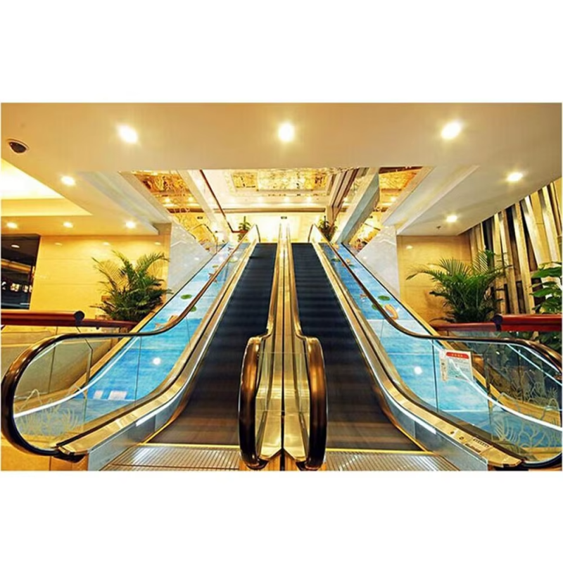 VTES109 ha usato l'ascensore per scale mobili del centro commerciale cinese a 30 angoli in vendita